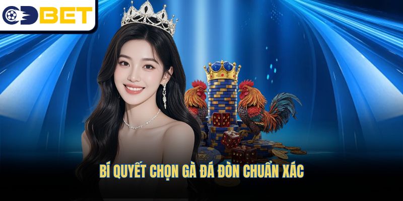 Bí quyết chọn gà đá đòn chuẩn xác