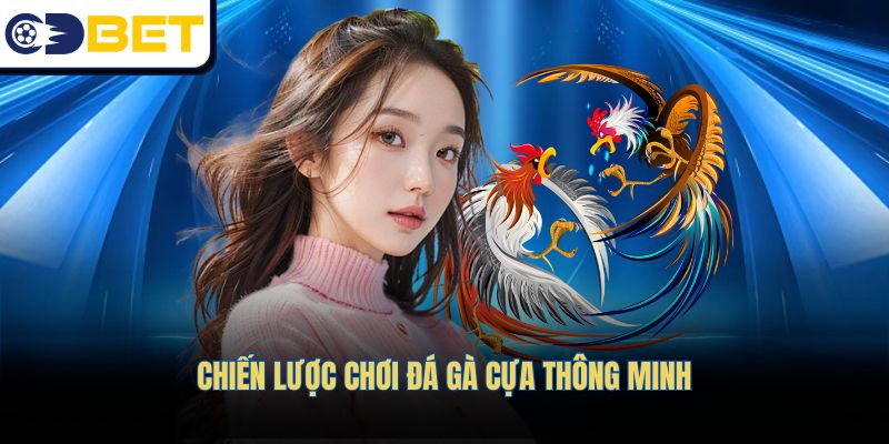 Chiến lược chơi đá gà cựa thông minh