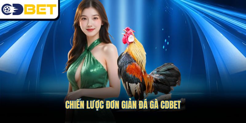 Chiến lược đơn giản Đá gà CDBET