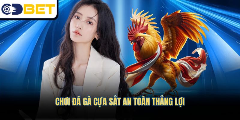 Chơi đá gà cựa sắt an toàn, thắng lợi