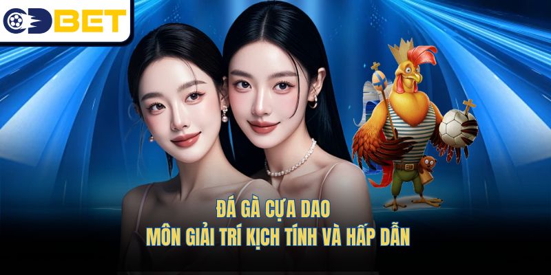 Đá Gà Cựa Dao - Môn Giải Trí Căng Thẳng Đến Nghẹt Thở