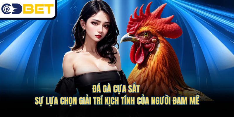 Đá Gà Cựa Sắt – Sự Lựa Chọn Giải Trí Kịch Tính Của Người Đam Mê