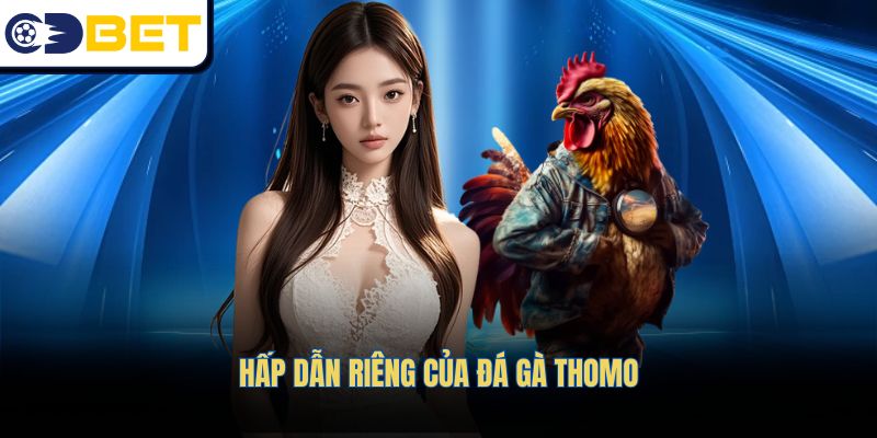 Hấp dẫn riêng của đá gà Thomo