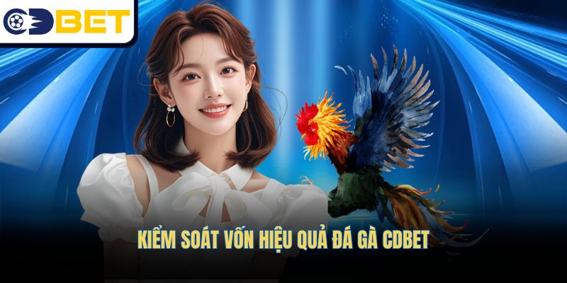 Kiểm soát vốn hiệu quả Đá gà CDBET