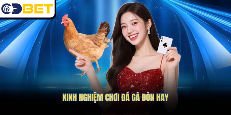 Kinh nghiệm chơi đá gà đòn hay