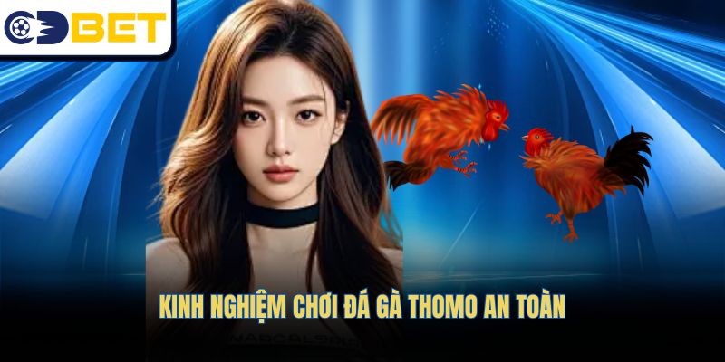 Kinh nghiệm đảm bảo an toàn khi chơi đá gà Thomo